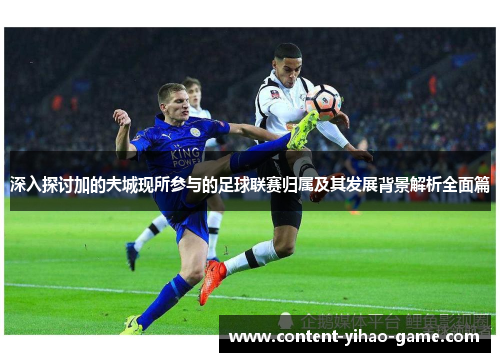 深入探讨加的夫城现所参与的足球联赛归属及其发展背景解析全面篇