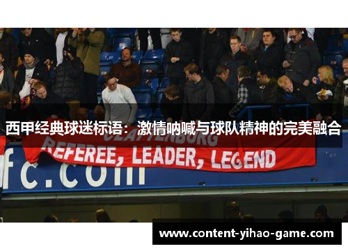 西甲经典球迷标语：激情呐喊与球队精神的完美融合